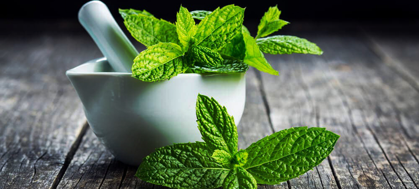 menta
